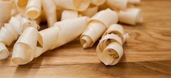 Wohnen mit Holz